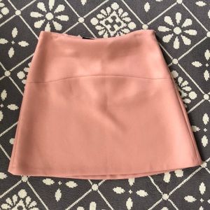 NWT Zara Woman Blush Skirt